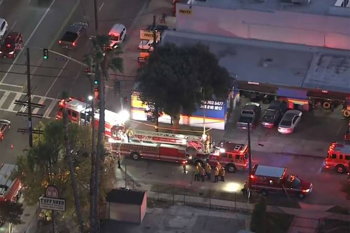 Tree Trimmer Fatally Impaled by Iron Fence After Falling 35 Feet