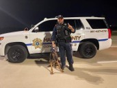 Retired K-9 officer, first bloodhound in Harris County law enforcement service, dies