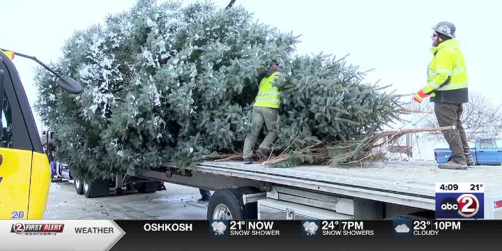 Bellevue tree the centerpiece of 18th Annual Festival of Lights at Lambeau Field