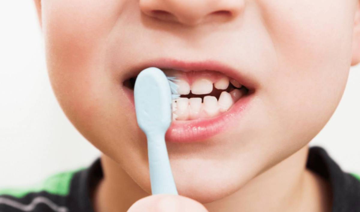 Saltillo: 8 de cada 10 niños que acuden al dentista tienen higiene bucal deficiente