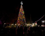 Park Slope rings in holiday season with 16th annual tree lighting on Small Business Saturday • Brooklyn Paper