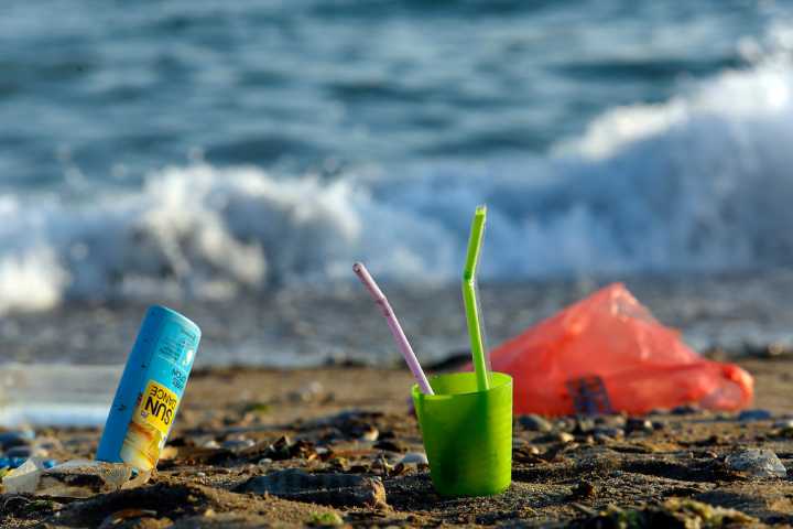 WWF Chile lamenta retroceso en Ley de Plásticos de un Solo Uso