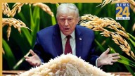 Trump targets India’s rice: Who pays the price?