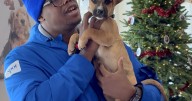 Holiday pet adoptions surge but returns follow at Virginia Beach SPCA