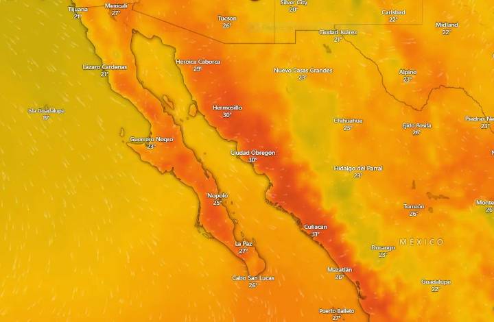Clima en La Paz y Los Cabos sábado 13 de diciembre de 2025