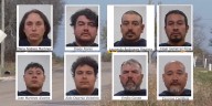 Ocho arrestados por delitos relacionados a peleas de gallos, tres de ellos bajo custodia de ICE
