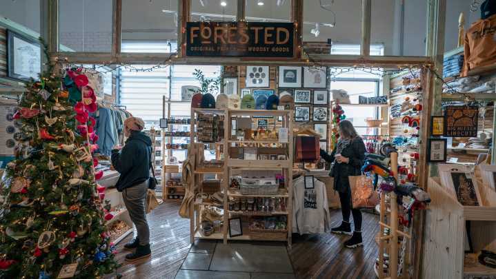 3 metro Detroit destinations made for a festive holiday shopping trip