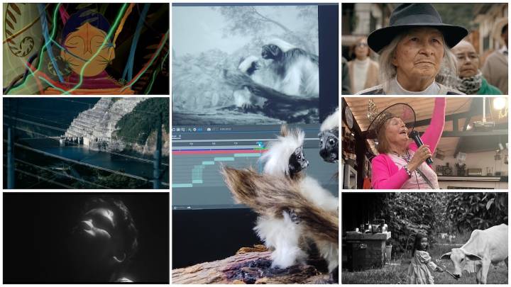 Estos siete cortos colombianos están listos para su proyección internacional