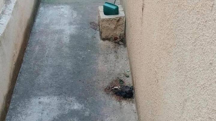 Vandalismo en el cementerio de Alagón: "Alguien había defecado detrás de los panteones"