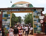 Nandankanan Zoo adds 19 new species Under Animal Exchange Programme with Gujarat
