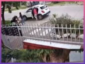 CHACO: Violento Robo A Una Mujer De 74 Años En Resistencia