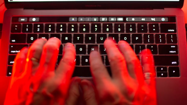 Intelligence watchdog facing cuts as Liberals seek new powers for national security agencies