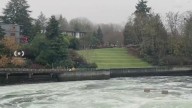 Kayaker dead after being pulled from water near Ballard Locks