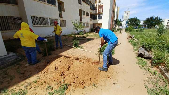 ¡Victoria ciudadana! El Pinar celebra la llegada del servicio de gas tras consulta popular aprobada.