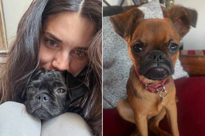 Sara Sampaio Adopts New Dog Named Kodi While Dog Mongo Remains Missing: 'I Fell in Love Right Away'