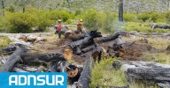 Incendio en El Turbio: brigadistas lograron contener sectores clave del fuego