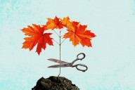 Opt in or opt out? Inside the quiet abortion debate facing young doctors