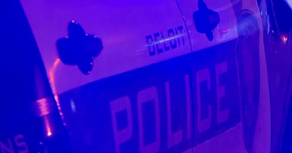 Beloit police investigate abandoned dog found dead at gas station