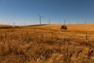 Trump Ban on Wind Energy Projects Ruled Illegal By US Judge