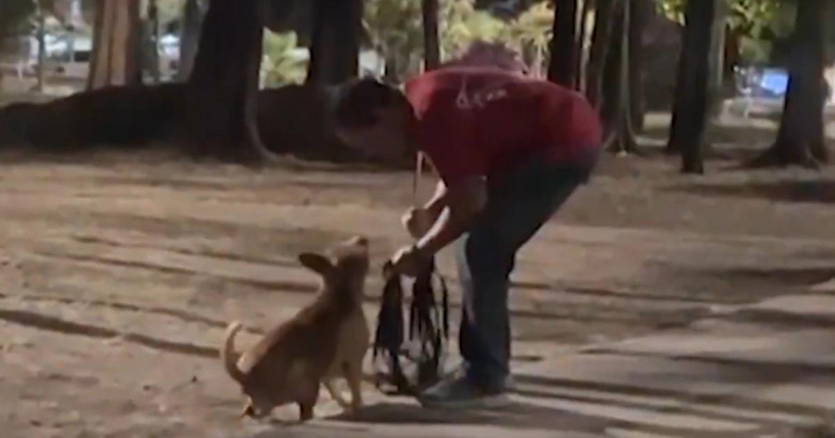 Captan a hombre golpeando a su perro en Jalisco; supuestamente intentó morder a un niño