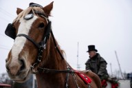 31 Days of Good News: Northport celebrates magical Dickens