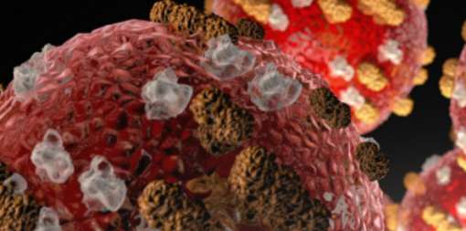 Uintah School District Urging Families To Be Aware Of Measles Symptoms