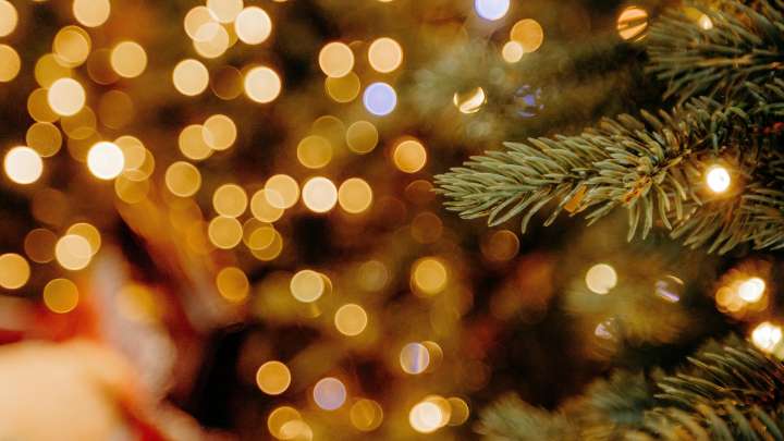 Miss Manners: How do I gently decline a Christmas invitation?