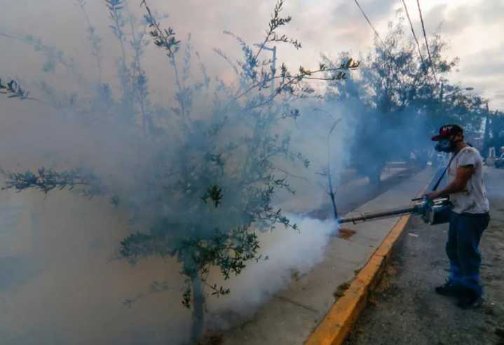 Mil 54 nuevos casos de dengue reporta México