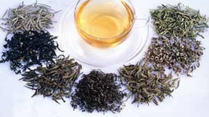 Truco casero: la manera de conservar las hierbas y evitar que se pudran