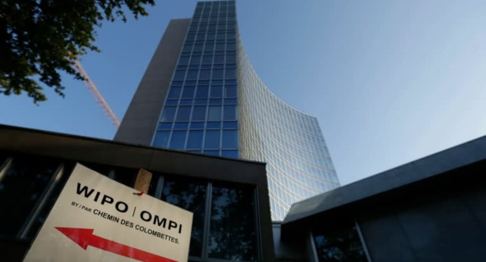 Apertura comercial y protección de intangibles peruanos