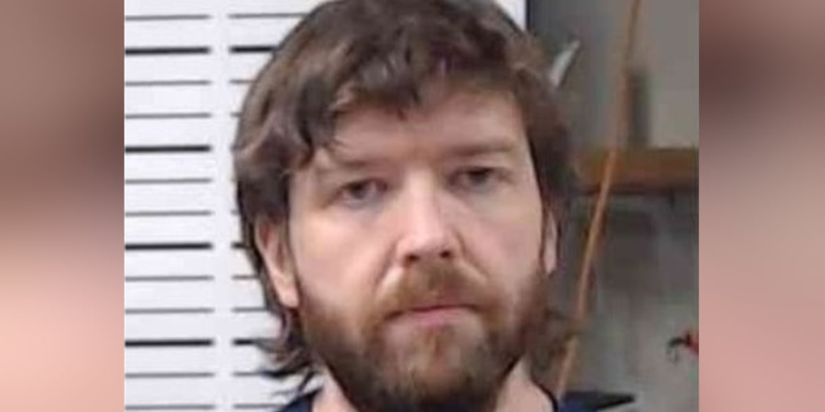 Osceola, Mo., man pleads guilty to possession of child porn charges