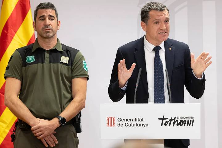 Confirmados siete nuevos casos de jabalíes muertos por peste porcina africana en la sierra de Collserola en Cerdanyola del Vallès (Barcelona)