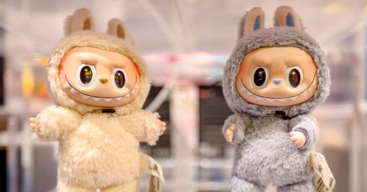 Fake Labubu raid as hundreds of toys seized from shops in Scottish Highlands