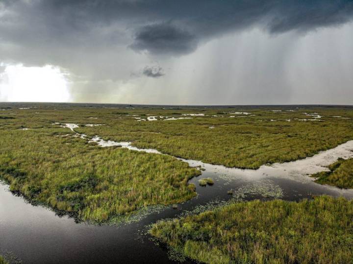 From Vision to Reality: Marking 25 Years of Everglades Restoration