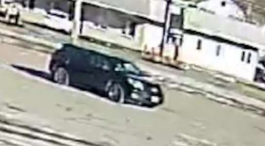 Police seeking driver that intentionally ran over, killed seagulls with car in Tewksbury