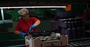 Empleadores en México frenan contrataciones por incertidumbre económica hacia 2026