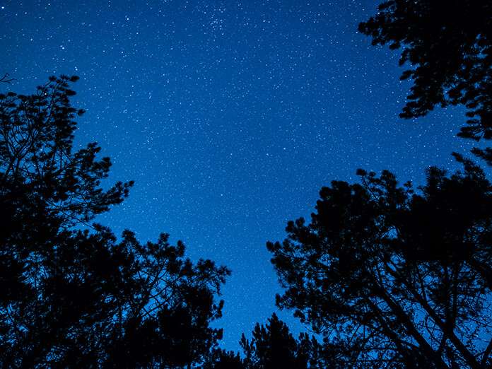 12/9/25: Clear Skies and Chilly 40.5°F, Winds Up to 17.1 mph