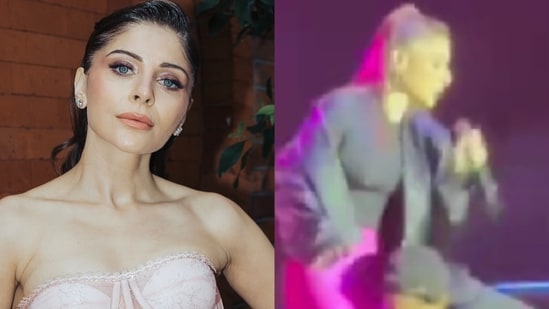 Kanika Kapoor grabbed on stage by a fan during concert, sparks security concerns