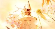 Charlotte Tilbury's 'last chance' deal gets 'heaven in a bottle' perfume for half price