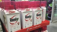 Trump backs Monsanto in Roundup litigation