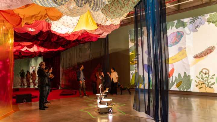 'Arquitectura emocional' de Angélica Teuta gana el Premio Luis Caballero 2025: la obra que convirtió la Galería Santa Fe en un refugio multiespecie