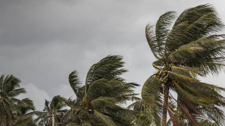 Hurricane season 2025 ends: Here's a recap of the tropical activity