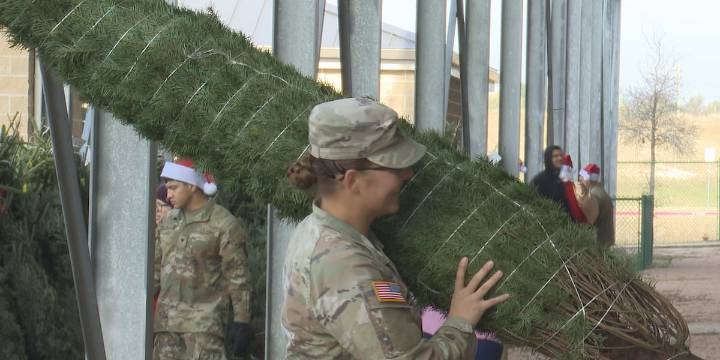 Hundreds of soldiers get free Christmas trees at Trees For Troops event on Fort Hood