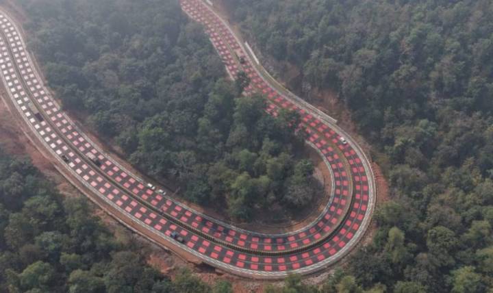 This Indian Highway Just Got a Wildlife-Friendly Makeover — And It’s Not in a Metro City