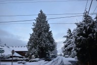 Be in the Know About Snow! Tools and Tips for Winter Weather Preparedness