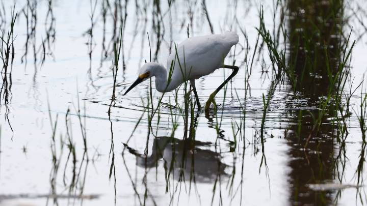 Florida leads nation in cuts to environmental protection jobs, report says