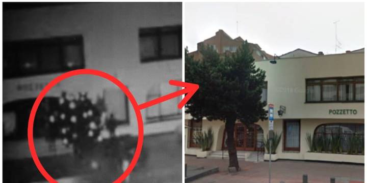 Éxito de la serie ‘Estado de fuga 1986′ recordó el árbol que sobrevivió a la masacre del restaurante Pozzeto en Bogotá: sigue ahí