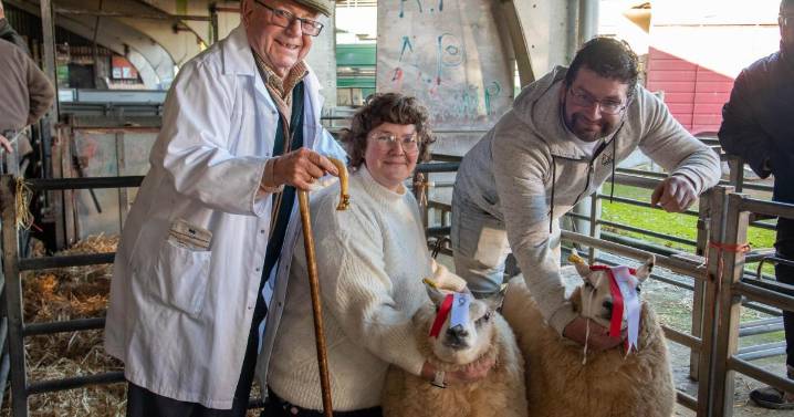 Suffolk sheep farmers triumph at Colchester Christmas Show