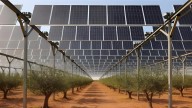 La empresa del proyecto agrivoltaico junto a Calblanque asegura que el proyecto aúna "seguridad y respeto ambiental"