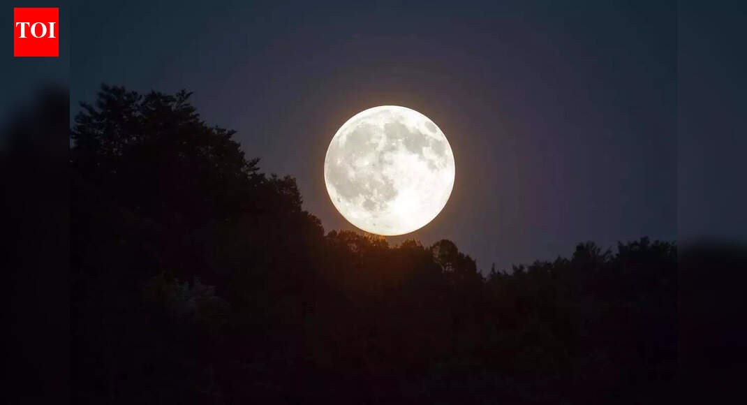 Moon Phase Today (December 7, 2025): Daily Affirmations and Manifestation Guide and For All Zodiac Signs